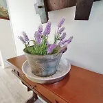 Le Petit Paradis, T3, Wifi, Parking, Veranda Apartmán *